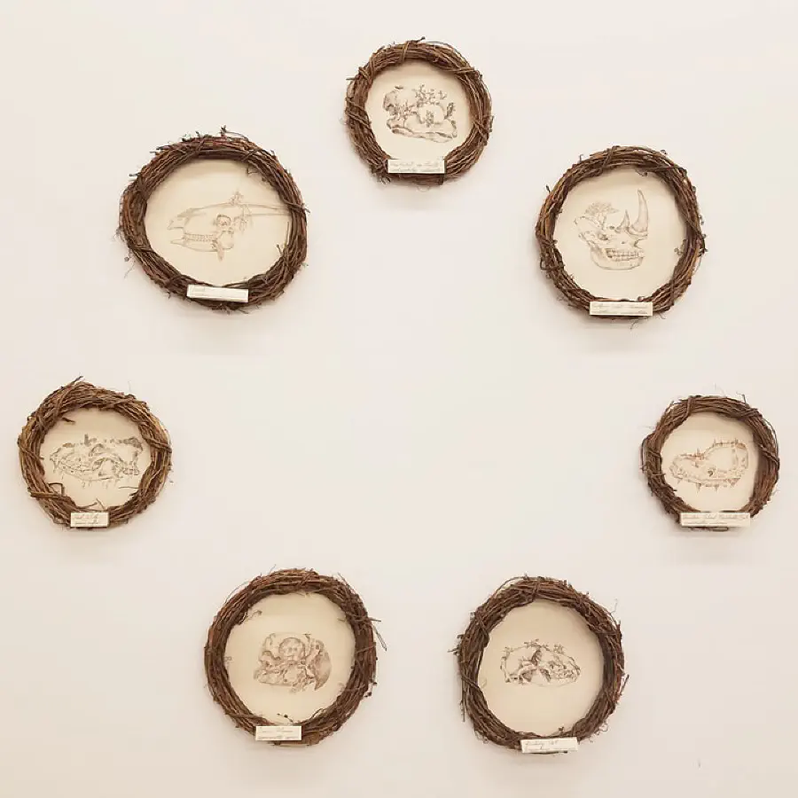 Seven wooden framed drawings of skulls arranged in a circle. The frames are of varying sizes.