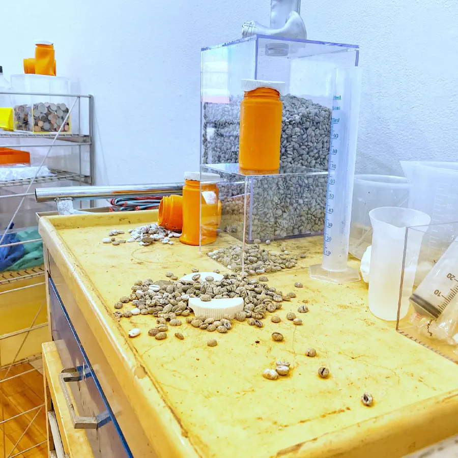 A large plexiglass container sits atop a yellow wood chest of drawers. Nut-like 'pills' are inside the container, spilled on the counter, and hidden behind the container.